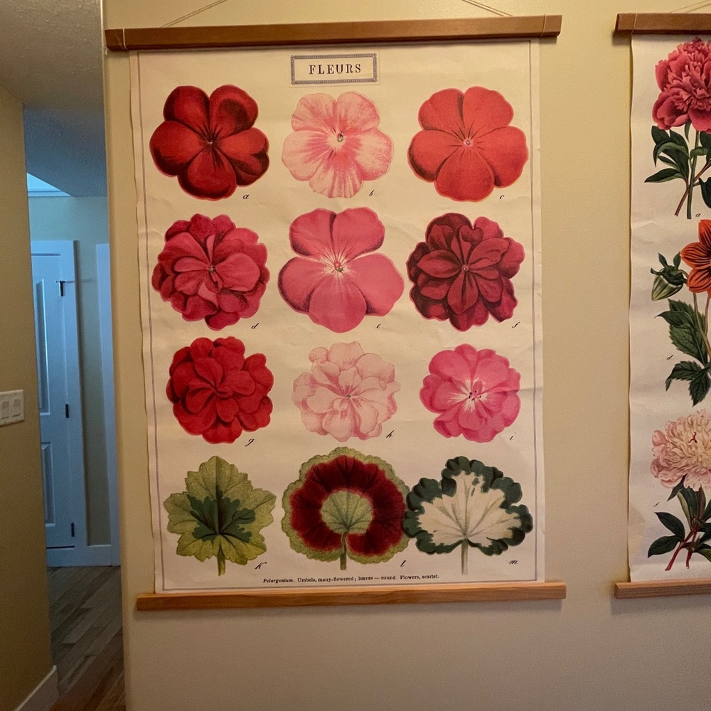 Wildflower Specimens Wall Art Posters